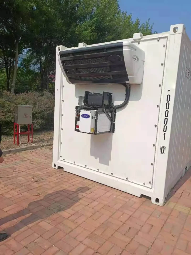 20ft Reefer Container – Carrier Citimax – Bild 2