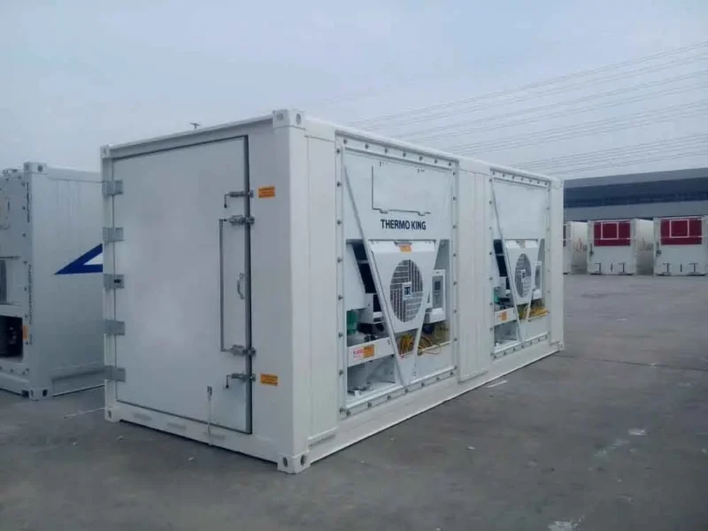 20 Fuß Blast Freezer Container